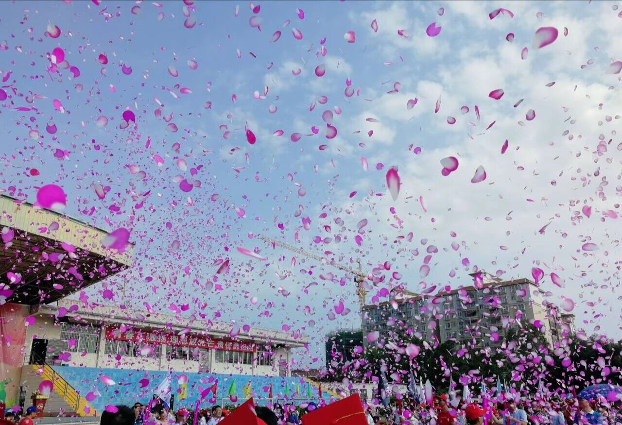 测试图片(示例)